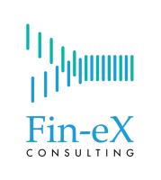 Fin-eX Consulting image 1
